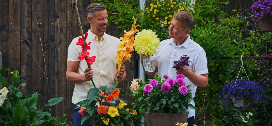Bilete av to menn omgitt av mange bugnande blomer i krukker