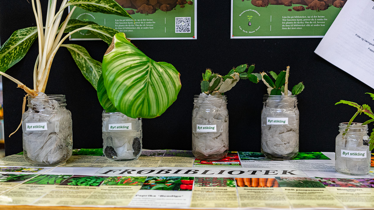 Illustrasjonsbilete for Byt stikling