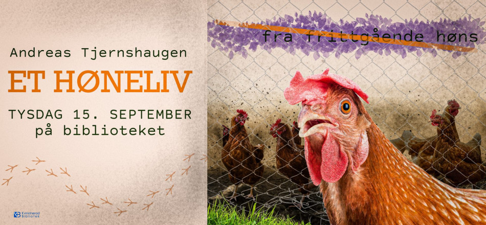 Ei høne står på utsida av hønegarden og ser forskrekka mot kamera